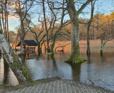 Zalane tereny ujścia Piaśnicy