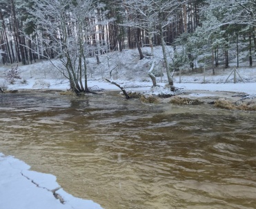 Ujście rzeki Piaśnicy zimą Dębki