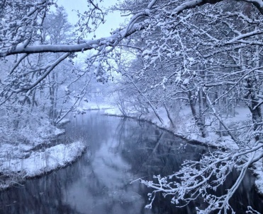 Zimowy Nadmorski Park Krajobrazowy Dębki