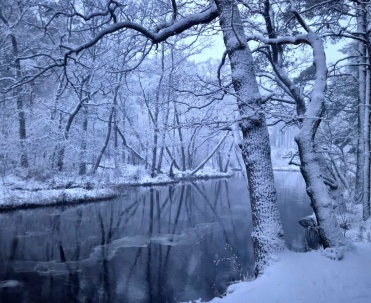 Dębki zimą &ndash; biały las nad Bałtykiem